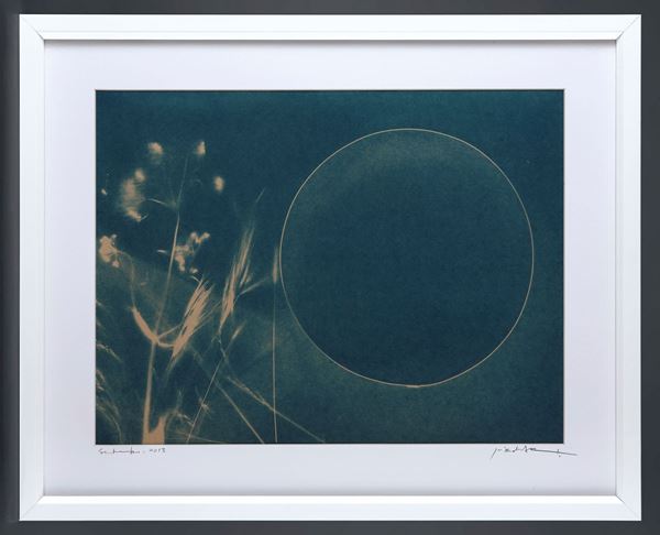 Picture of Cyanotype Refª. CNT 001