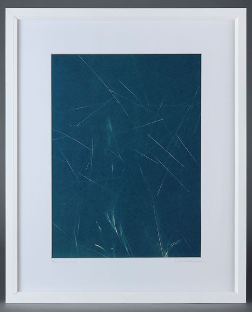 Picture of Cyanotype Refª. CNT 003
