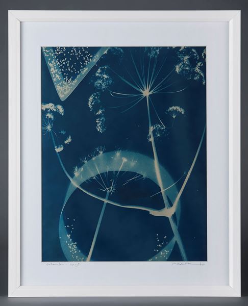 Picture of Cyanotype Refª. CNT 005