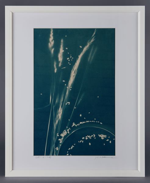 Picture of Cyanotype Refª. CNT 006