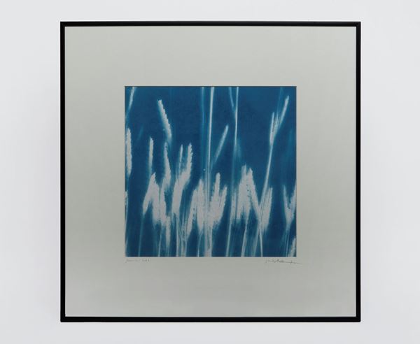 Picture of Cyanotype Refª. CNT 011