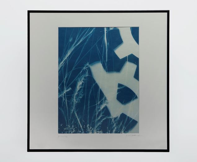 Picture of Cyanotype Refª. CNT 012
