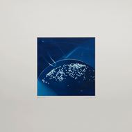 Picture of Cyanotypes