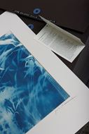 Picture of Cyanotypes