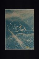 Picture of Cyanotypes