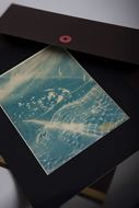 Picture of Cyanotypes