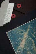 Picture of Cyanotypes