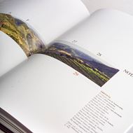 Picture of Published Work